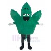 Leaf mascot costume