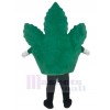 Leaf mascot costume