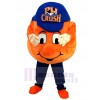 Ball mascot costume