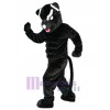 Leopard mascot costume