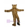 Tiger mascot costume