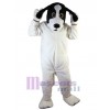 Dog mascot costume