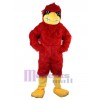 Eagle mascot costume