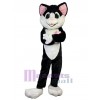 Cat mascot costume