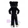 Cat mascot costume