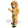 Lion mascot costume