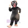 Rat Mouse mascot costume