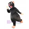 Rat Mouse mascot costume