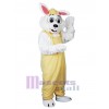 Bunny mascot costume