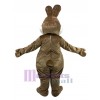 Rabbit mascot costume