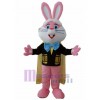 Rabbit mascot costume