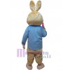 Rabbit mascot costume
