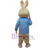 Rabbit mascot costume