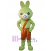 Rabbit mascot costume