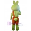 Rabbit mascot costume