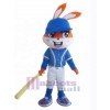 Rabbit mascot costume