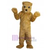 Gopher mascot costume
