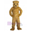 Gopher mascot costume