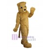 Gopher mascot costume