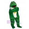 Fish mascot costume