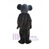 Rat Mouse mascot costume