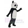 Panda mascot costume