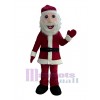 Man mascot costume
