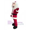 Man mascot costume