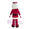 Man mascot costume