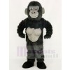 Funny Gorilla Mascot Costume College	