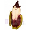 Merlin Wizard mascot costume