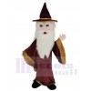 Merlin Wizard mascot costume