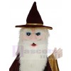 Merlin Wizard mascot costume