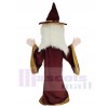 Merlin Wizard mascot costume