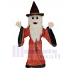 Merlin Wizard Mascot Costume Cartoon
