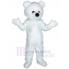 Bear mascot costume