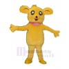 Bear mascot costume