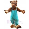 Bear mascot costume