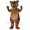 Bear mascot costume