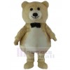 Bear mascot costume