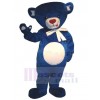 Bear mascot costume