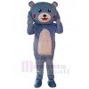 Bear mascot costume