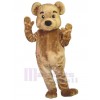Bear mascot costume