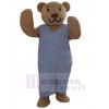Bear mascot costume