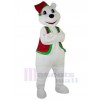 Bear mascot costume