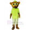 Bear mascot costume