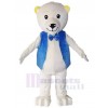 Bear mascot costume