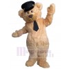 Bear mascot costume
