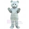 Bear mascot costume