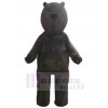 Bear mascot costume